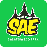 SAE Logo